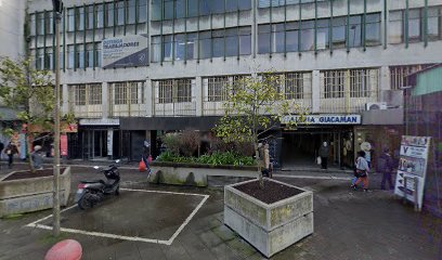 Lilian Senie Misene Abdala Propiedades Concepción