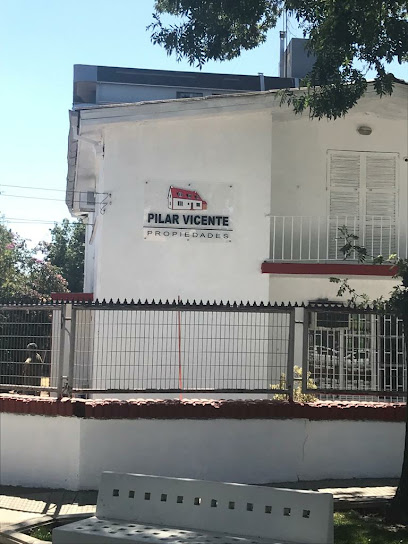 Pilar Vicente Propiedades