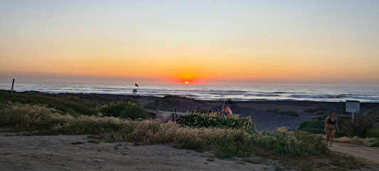 Propiedades Pichilemu Pichilemu