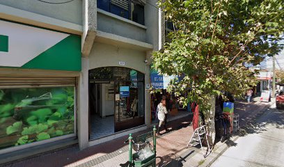 Sotomayor Propiedades Linares